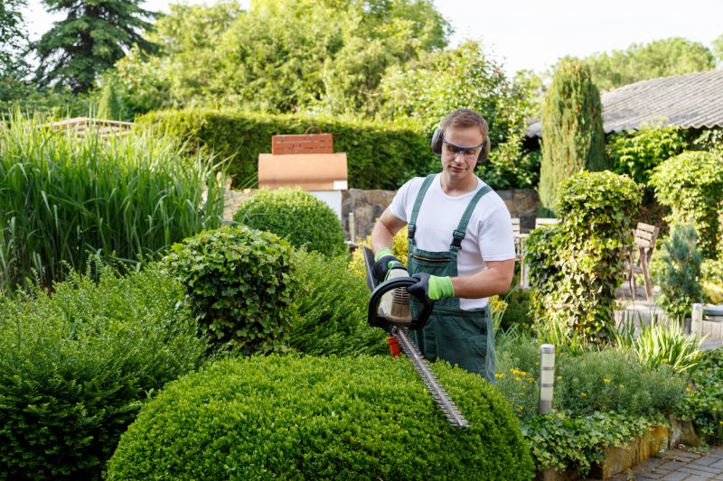 Timely Shrub Maintenance